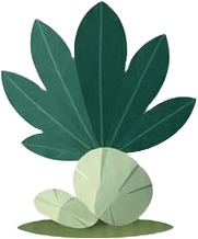 a green leaf with a white background.jpg
